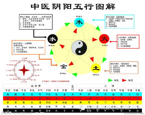 五行相剋表|五行相生相剋:五行,四季五行,相生相剋,概念對應,五行。